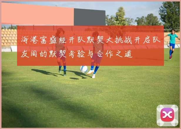 海港富盛经开队默契大挑战开启队友间的默契考验与合作之道