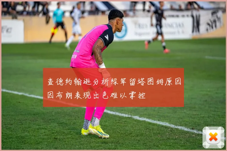 查德约翰逊分析绿军留塔图姆原因因布朗表现出色难以掌控